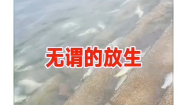 回归大海了