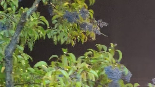 如果没有以后...