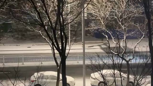 张万森，下雪了。