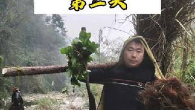 张家界荒谷生存第二天 光谷四十天第二天，大狼有逮到鱼了，做了一个无锅野菜鱼，最后做了一条棕绳，加固了