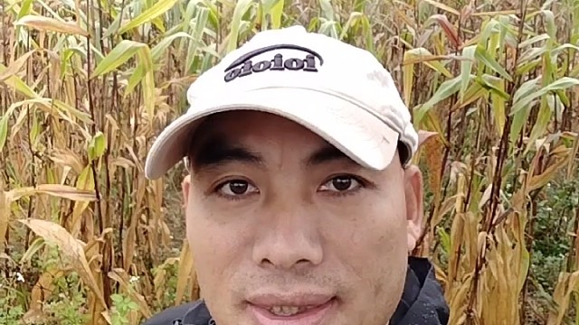 小米到底行不行？