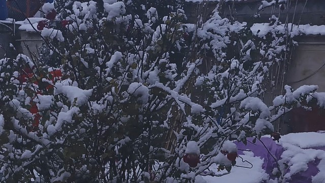 你们听过雪落下的声音吗。(˵¯͒¯͒˵)