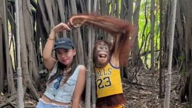 泰国网红猩猩与游客合影