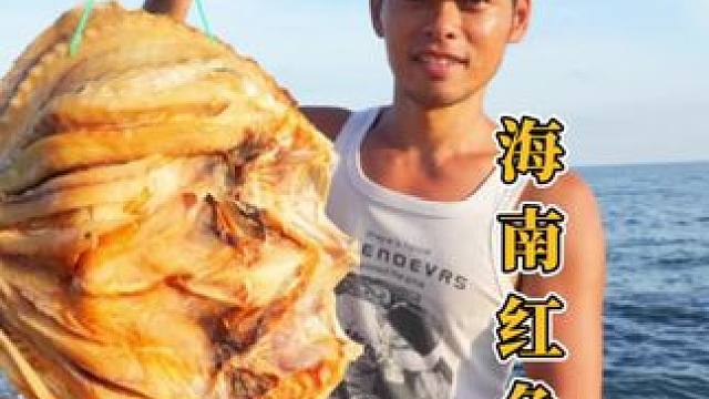 刚晒好的红鱼干咸香诱人，在村口的老大爷都闻到香味了，想吃的快来直播间#红鱼干 #海鲜美食 #农村美食