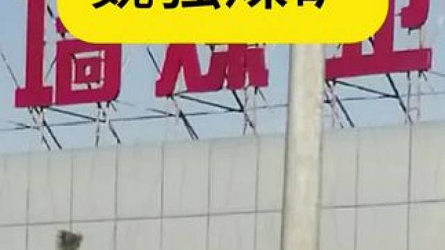 延长石油魏强煤矿#延长石油#魏强煤矿 #煤矿 #延长