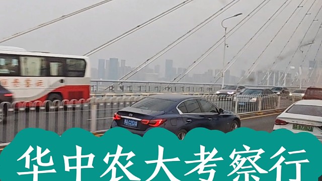 你见过在水里长的橙子吗