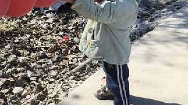 今天小双可开心了。