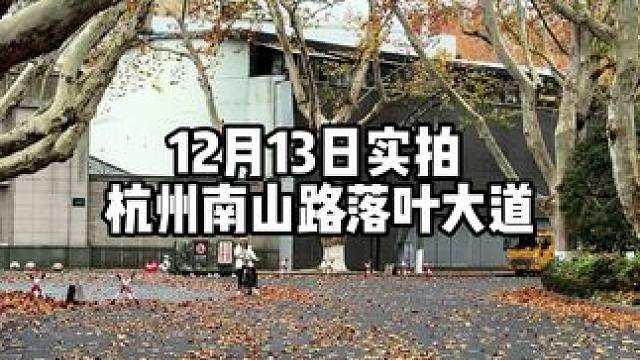杭州南山路铺满落叶的浪漫，降温之后的一片美景，就这两天最好看。#杭州 #落叶