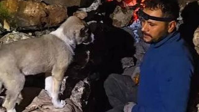 遭遇冬季风暴—与我的狗狗们一起进行野外生存露营 #野外露营 #野外生存 #启发搜索激励计划 #解压助