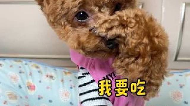 它真的好像个小宝宝呀！