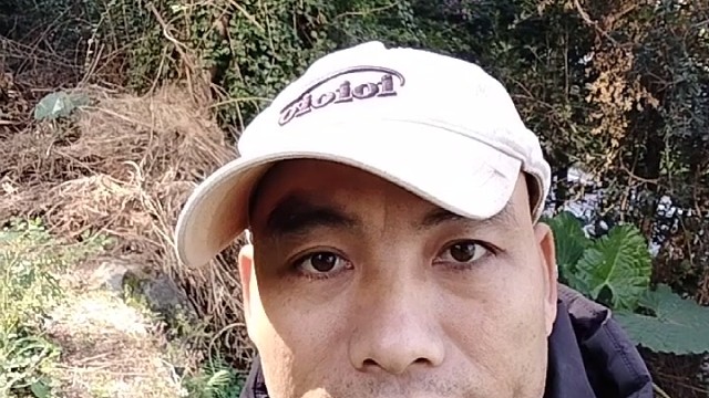 公道自在人心支持泰国