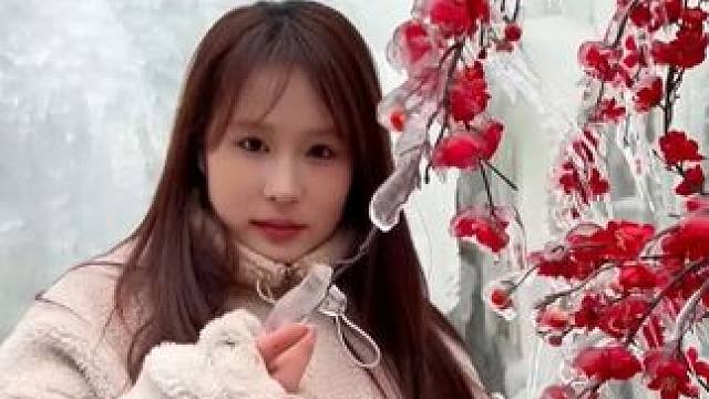 冰挂模式加载中......敬请期待吧