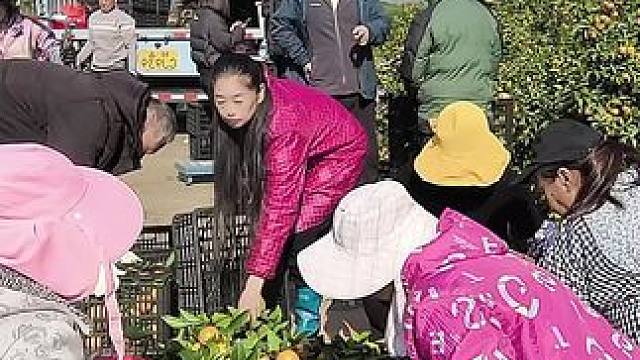 山卡卡里的农村大姐一部手机直播30天变现2000+新人首播一个小工具直接拿去用轻松开播#宝妈创业#新