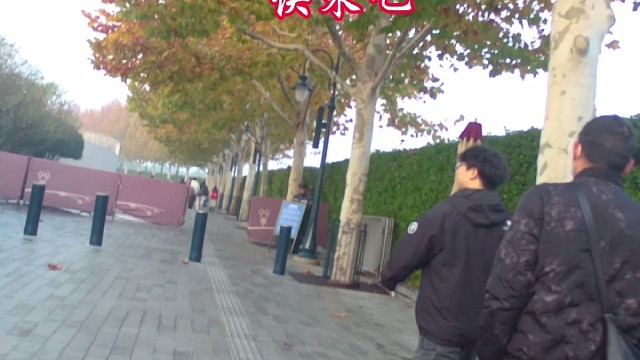 迪士尼管家带玩服务