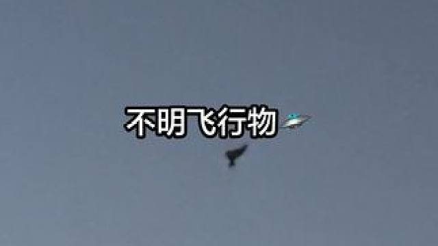 突然抬头发现的 就拍了个视频 大家看看这是啥