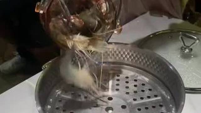 #加餐  #创作人计划 #好吃到停不下来 #自助餐回本攻略 #种草