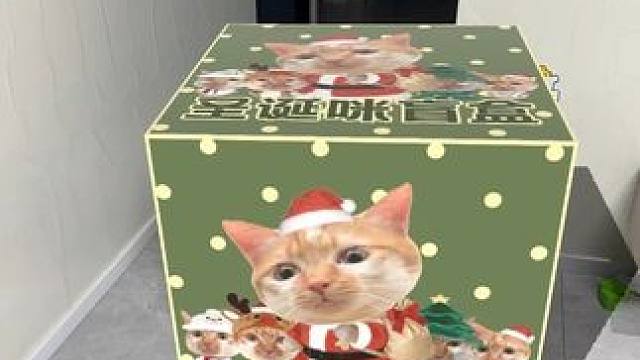 #抖音玩法合伙人计划 #全抖音寻找玩法合伙人 #第一批小猫已经在过圣诞节了