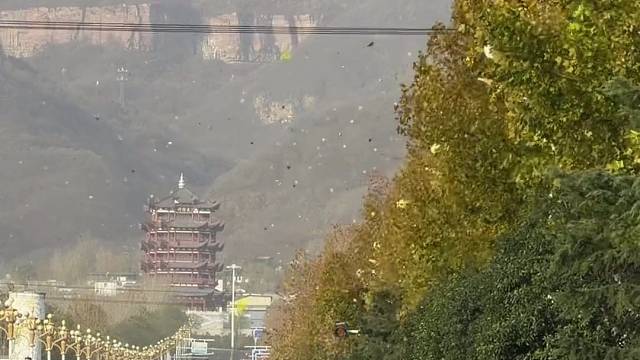 相遇的意义是什么？