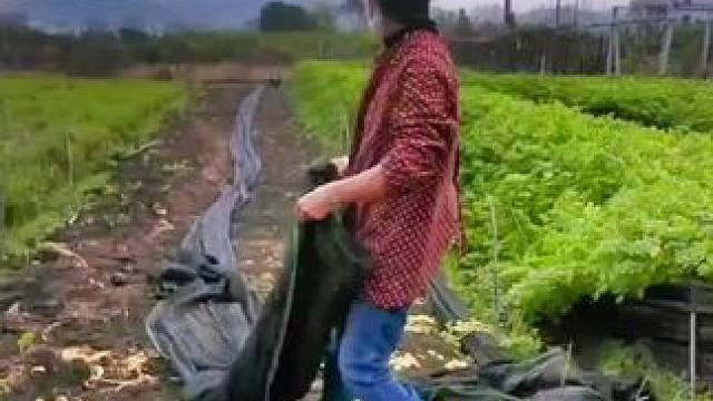 山卡卡里的农村大姐一部手机直播30天变现2000+新人首播一个小工具直接拿去用轻松开播#宝妈创业#新