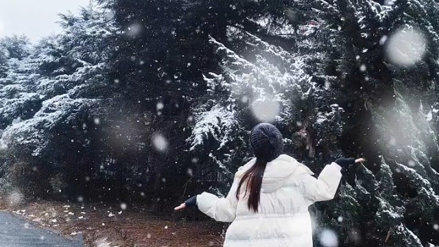 别刷了，就我吧