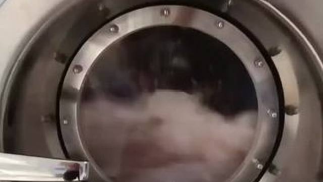 充值100元洗衣不打折洗鞋5折
充值200元洗衣8.8折洗鞋5折
充值300元洗衣8折洗鞋5折
充值