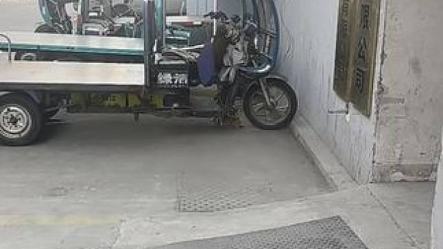 这又是谁的哈基米，来认领