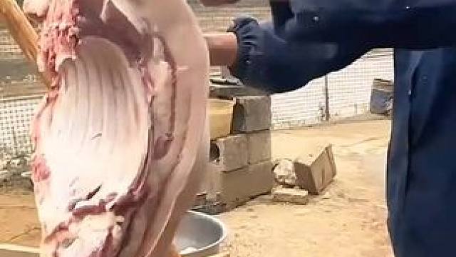 我发布了一个新视频，快来围观吧！