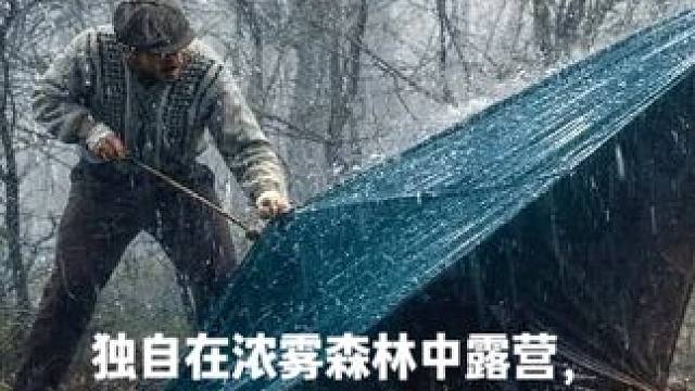 独自在浓雾森林中露营，生存烹饪 #野外生存 #户外露营 #野外露营 #启发搜索激励计划 #解压助眠视