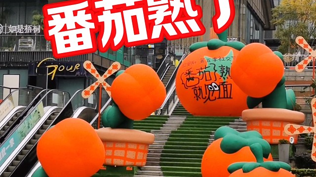 免费领1000斤番茄，200杯番茄汤免费喝