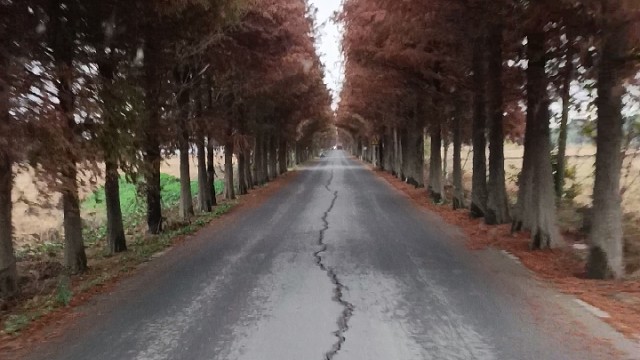 巧手生活，从这些小技巧开始！