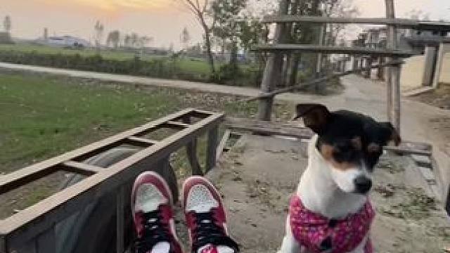 小时候拼命想逃离的地方， 却是长大后最眷恋的地方