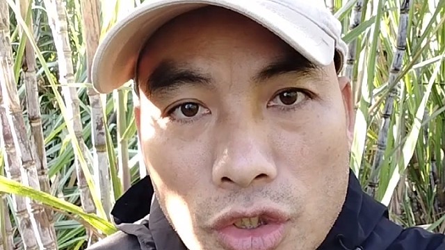 为我们同胞报仇的居然是泰国