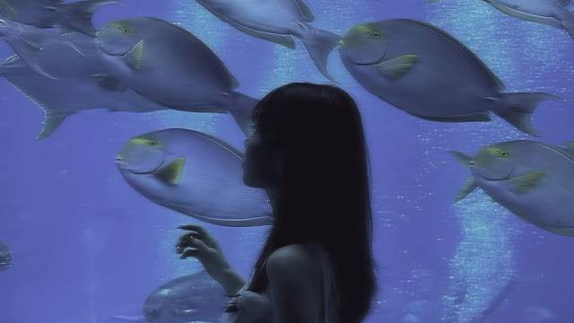 这个冬天希望能拥有开心