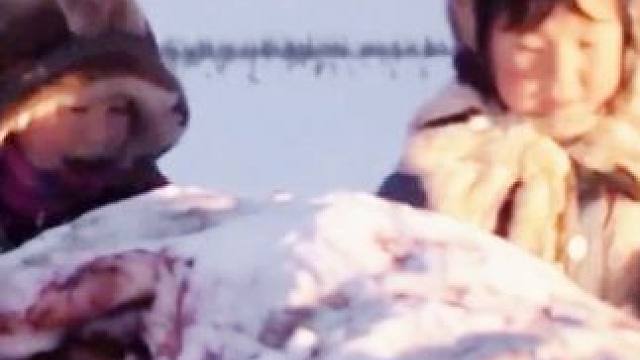 驯鹿对楚科奇人到底有多重要！