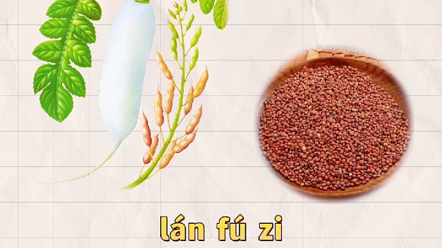 莱菔子，又名芦萉