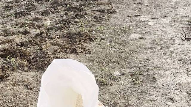 突然发现我的父亲老了