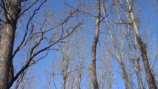 「人类为何迷恋蓝色 天空你是否知晓一切.」