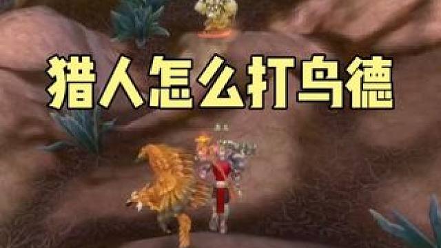 猎人怎么打鸟德