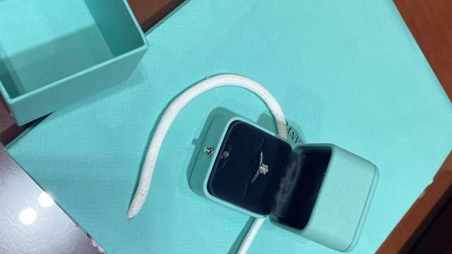 猫主子闯祸后，我火速补救计划→