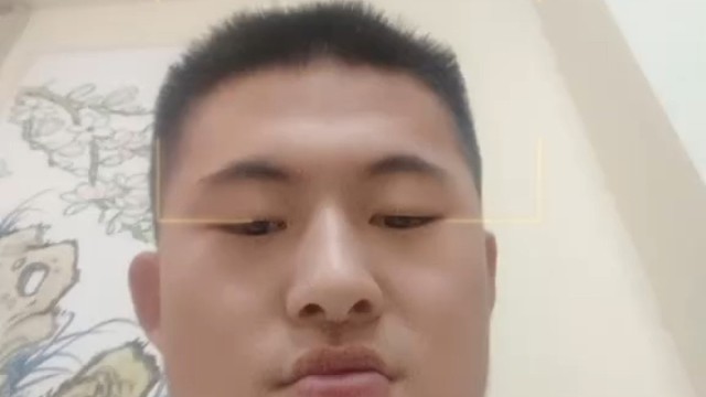 动态AI 烟花视频