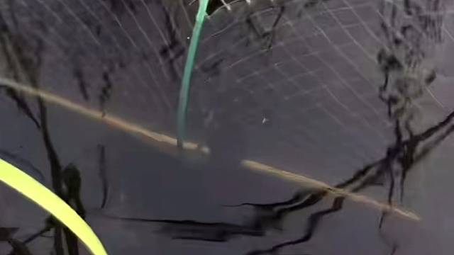 #户外捕鱼大队 #捕鱼河边随拍 #捕捞现场  #丝网捕鱼