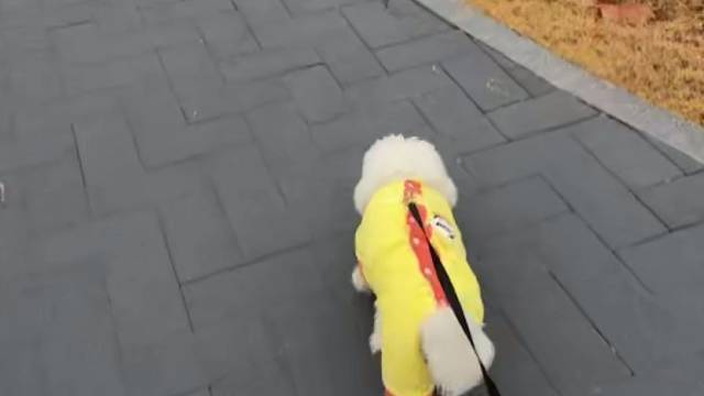 晚点开 去参加蟠桃会