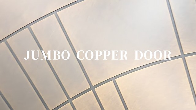 用艺术肌理定义顶奢入户#中宝天一铜门 #别墅门 #铜门 #上海