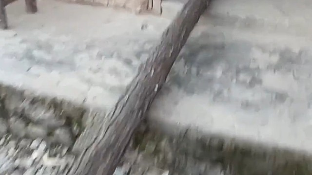 懒人烧长柴[捂脸]