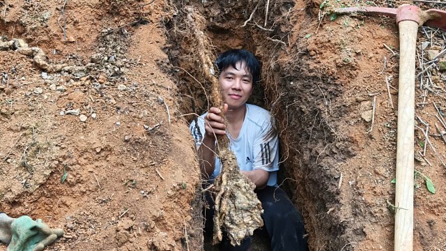 我发布了一个新视频，快来围观吧！