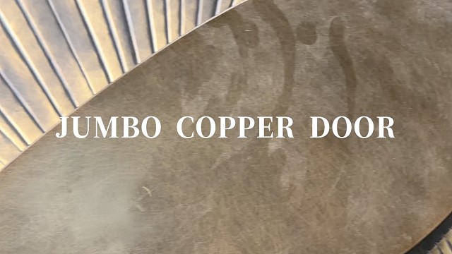 流动肌理大气开合，大宅入户的视觉焦点#中宝天一铜门 #别墅门 #铜门 #上海