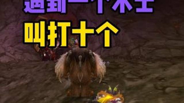 遇到一个术士叫打十个 我觉得打的有点少