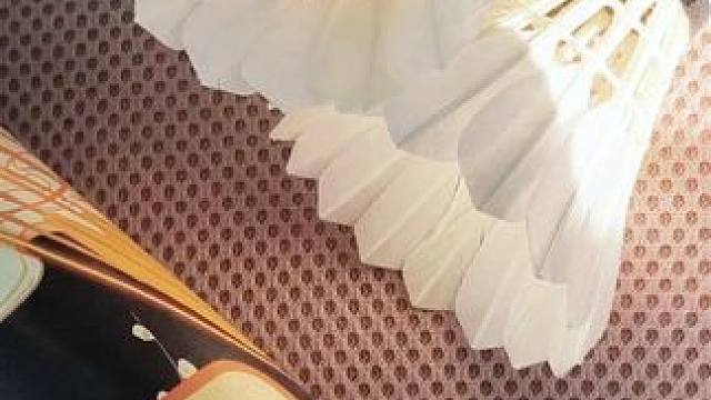 阳光是最好的滤镜，在阳光下的羽毛球也太好看了难道你不心动吗 #