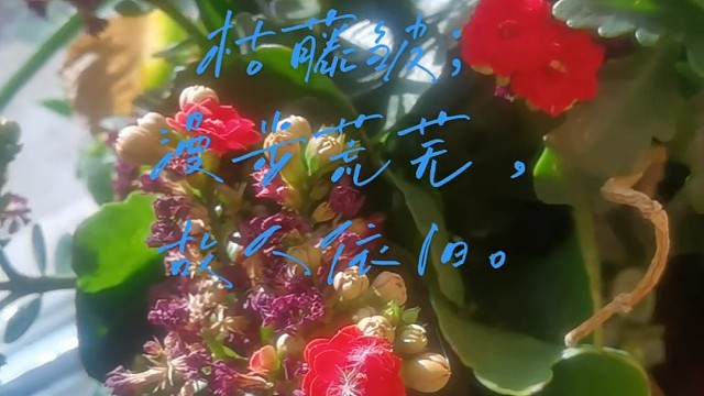 钗头凤“又到亡妻生日”