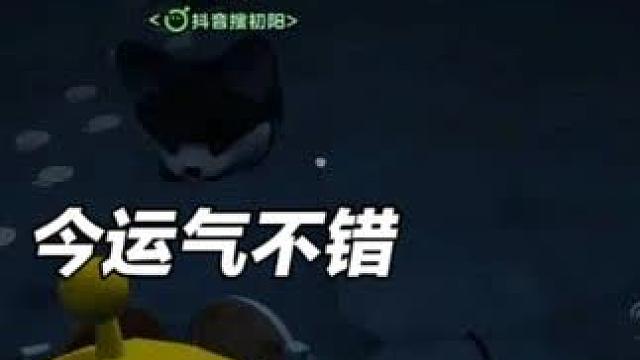 好多天了 今天终于出王权之心了不容易 大家近期爆率如何